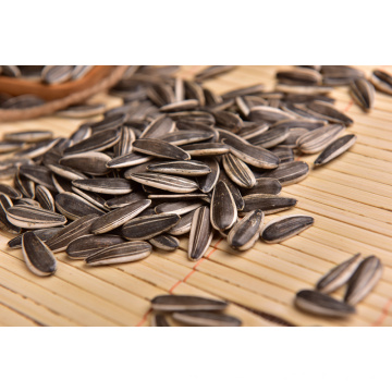Especificação de sementes de girassol barata